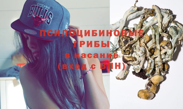 ECSTASY Рославль