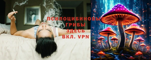 ECSTASY Рославль