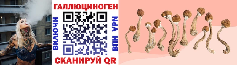 Купить закладки  Циолковский  Галлюциногенные грибы MAGIC MUSHROOMS 